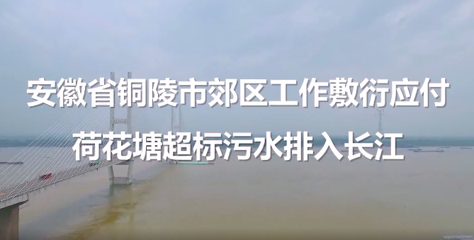 <strong>典型案例丨安徽省铜陵市郊区工作敷衍应付 荷花塘超标污水排入长江</strong>