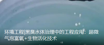 环境工程|黑臭水体治理中的工程应用：超微气泡富氧+生物活化技术