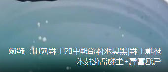 环境工程|黑臭水体治理中的工程应用:超微气泡富氧+生物活化技术