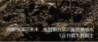 水处理倒逼污泥处理提速,未来污泥处理的主流技术是什么?
