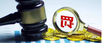 <strong>吉林省长春市严肃查处不正常运行自动监测设备等违法行为</strong>